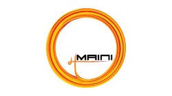 Sell Maini car online